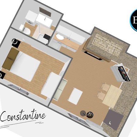 Appartamento Le Constantine - Quartier Historique - Charme & Ancien Tours Esterno foto